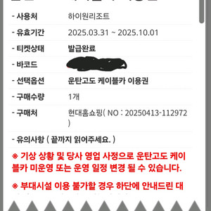 하이원 케이블카 이용권