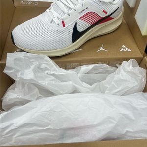나이키 페가수스 40 킵초게