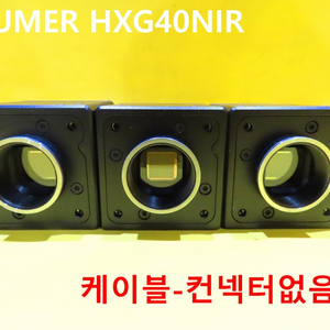 BAUMER HXG40NIR 중고 카메라 모듈 대당가격