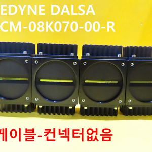 DALSA P4-CM-08K070-00-R 중고 대당가