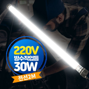 220V 30W 방수 작업등