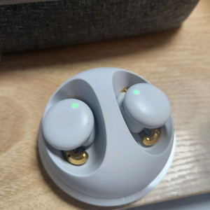LG LABS brid.zzz 이어버드