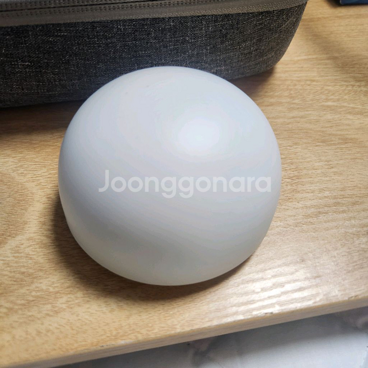LG LABS brid.zzz 이어버드--1