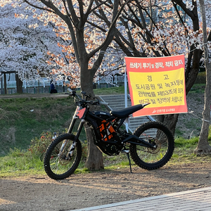 써론 라이트비 판매합니다