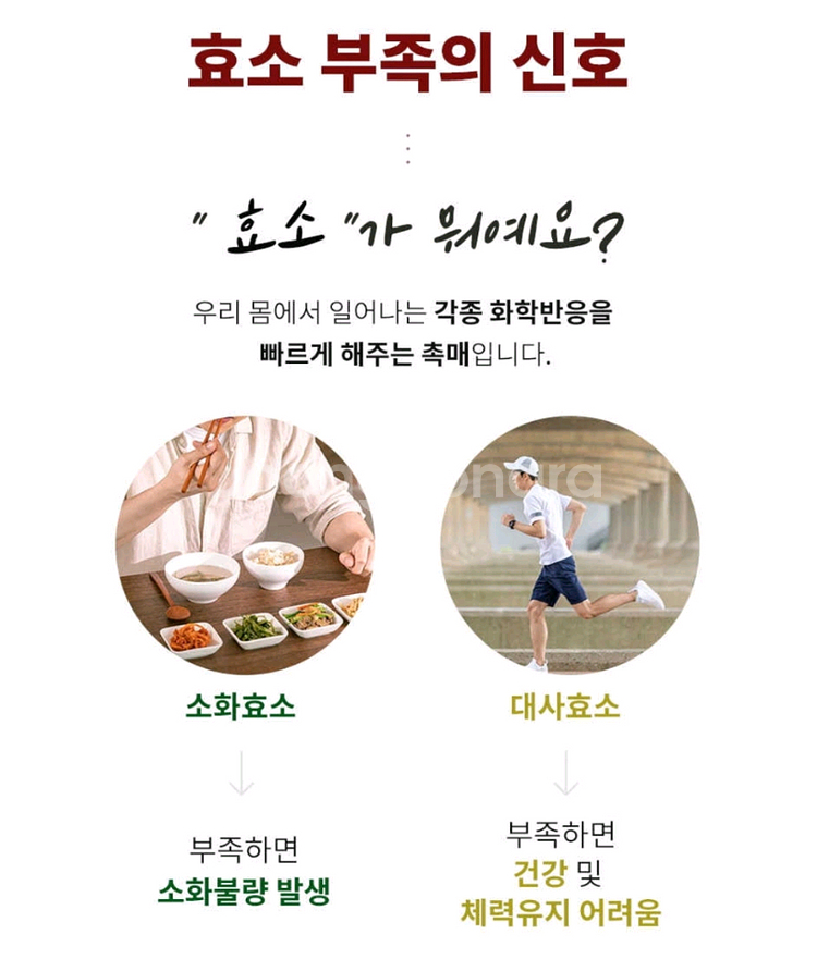 파인애플효소 90포 3개월분--3
