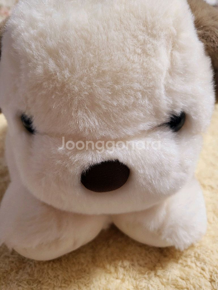 강아지 인형 새제품--0