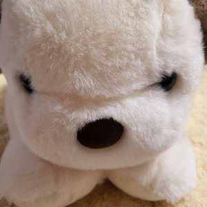 강아지 인형 새제품