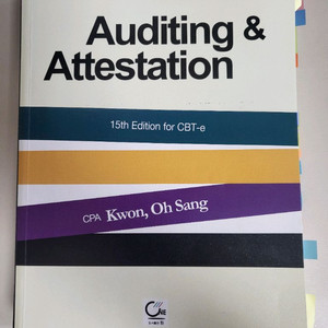[AICPA] AUDIT 교재