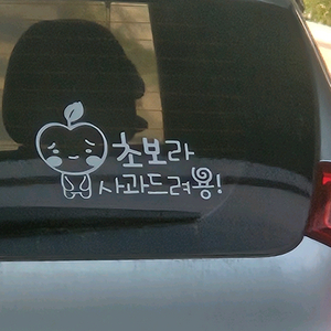 닌텐도스위치2 일반판 직배송