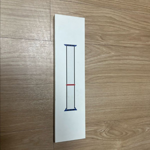 애플워치 44mm 대한민국 스포츠루프