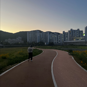 소니 a7m4 삽니다(경남권)