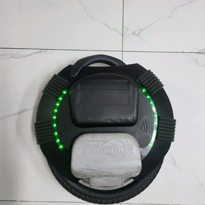 킹송16S