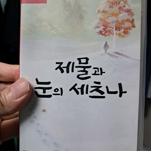 닌텐도 스위치 제물과 눈의 세츠나