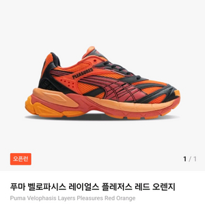 푸마 벨로파시스