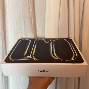 아이패드 프로 11M4 256G 스그