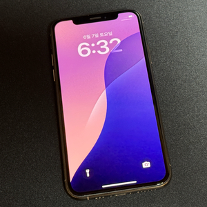 아이폰 XS 256GB