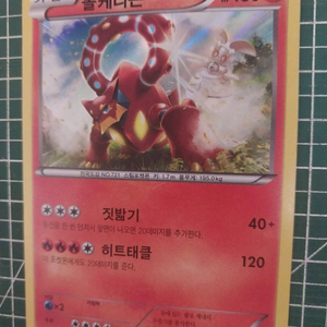 포켓몬카드 볼케니온 XY 프로모