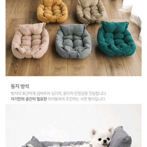 애견방석