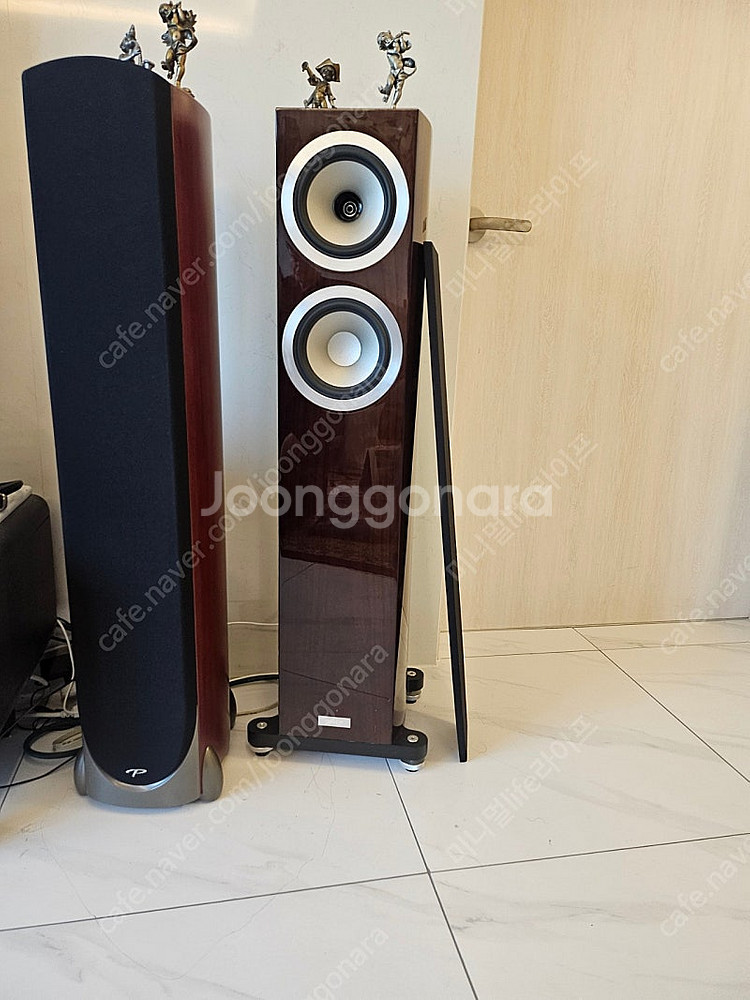 탄노이 precision6.2 스피커--0
