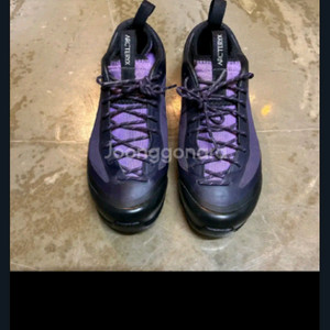 아크테릭스 코어택스 컨실레더 FL2