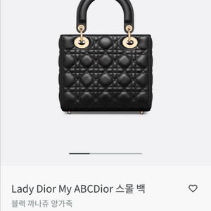 디올 abc디올 스몰백