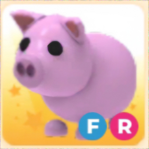 입양하세요 FR 돼지