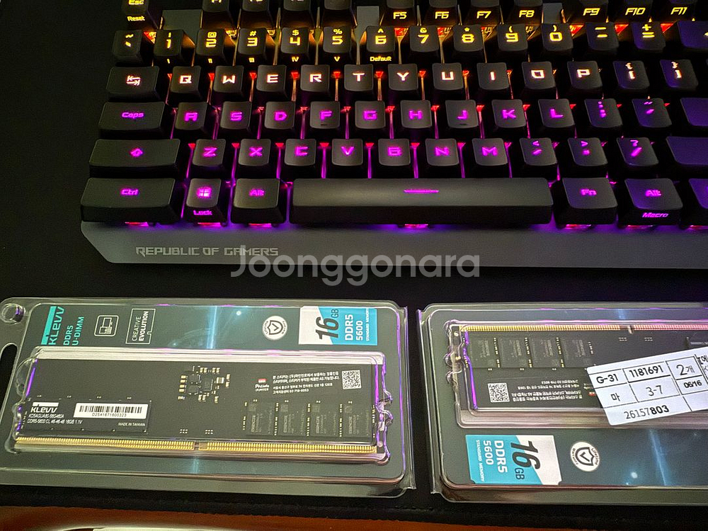 에센코어 KLEVV DDR5 PC5-44800 CL46--0