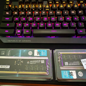 에센코어 KLEVV DDR5 PC5-44800 CL46