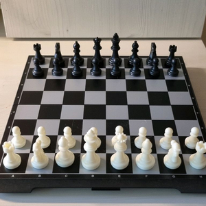 휴대용 접이식 자석 체스