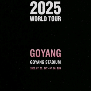 블랙핑크 콘서트 명당 연석 양도