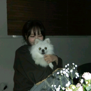롤토체스 플레계정 팜 플4 0포