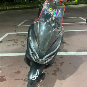 pcx 19년식