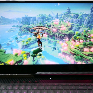 아수스 17.3인치 하이엔드 게이밍 노트북/인텔 i9