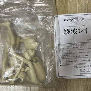 일괄) 에반게리온 아야나미 레이 레진 키트