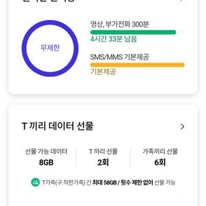 skt 데이터 2G