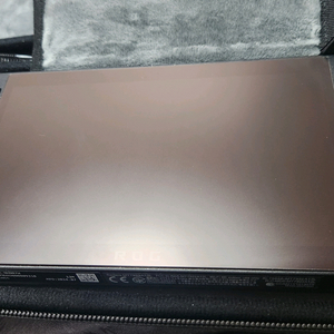 흑갈리 Rog Ally X 2테라 팝니다.