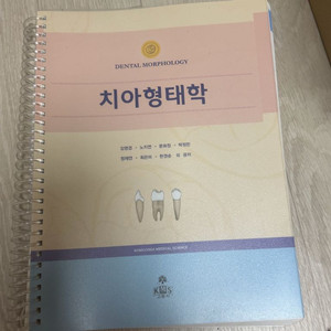 치위생과 전공책 이미지