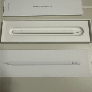 애플펜슬 (USB-C) 모델명 A3085