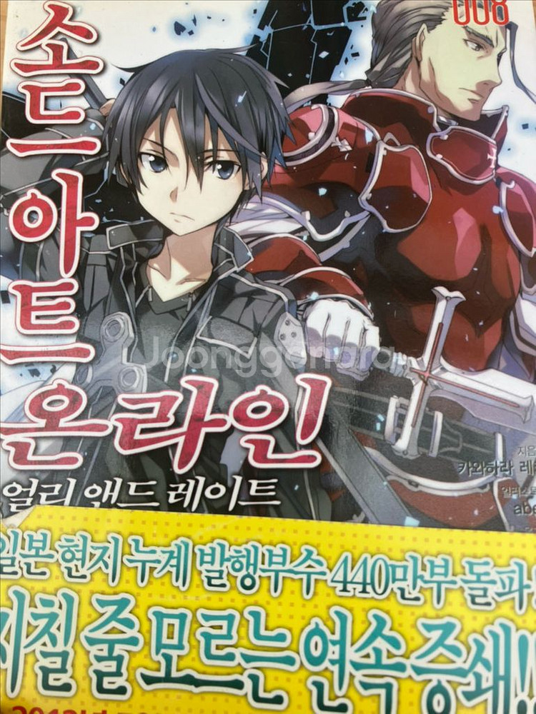 소드 아트 온라인--0