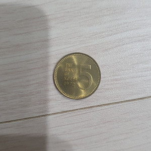 동전