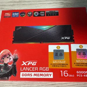 ADATA DDR5 6000 CL30 32GB