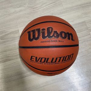 윌슨 에볼루션