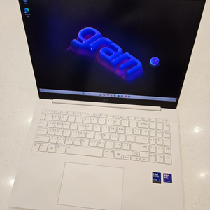 LG 2025 그램 프로 16 노트북 16Z90TP