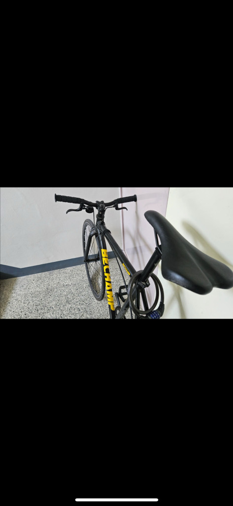 비챔프 픽시 자전거 판매/대차 이미지