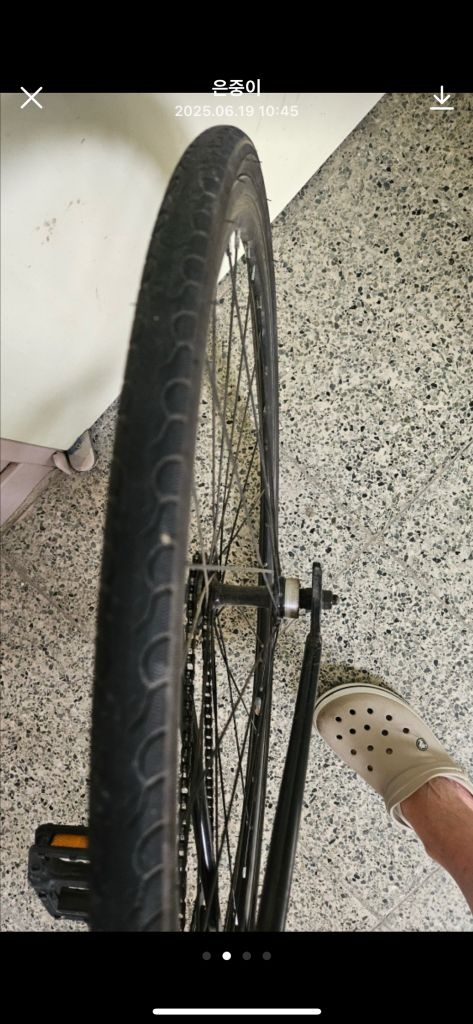 비챔프 픽시 자전거 판매/대차 이미지