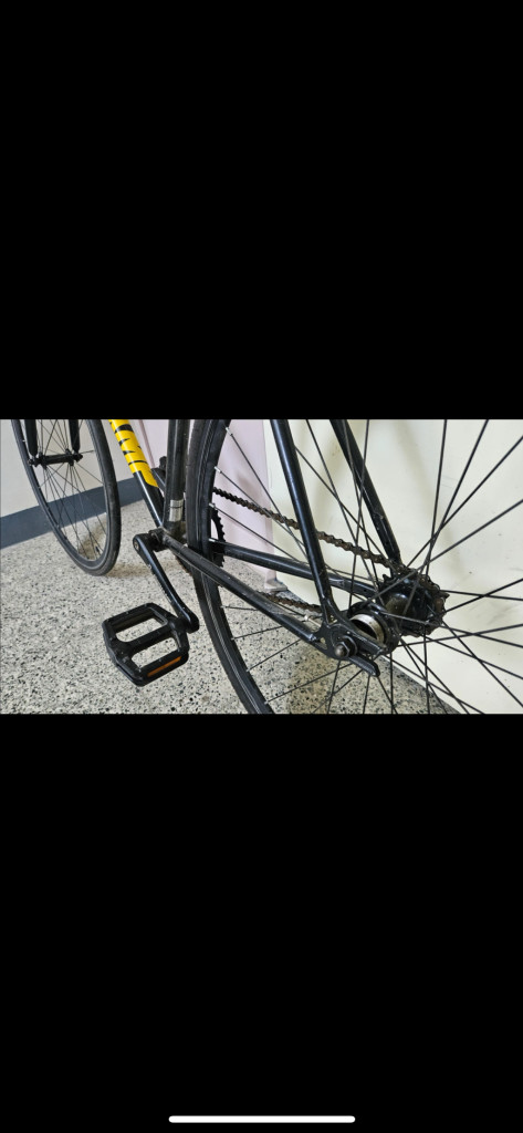 비챔프 픽시 자전거 판매/대차 이미지