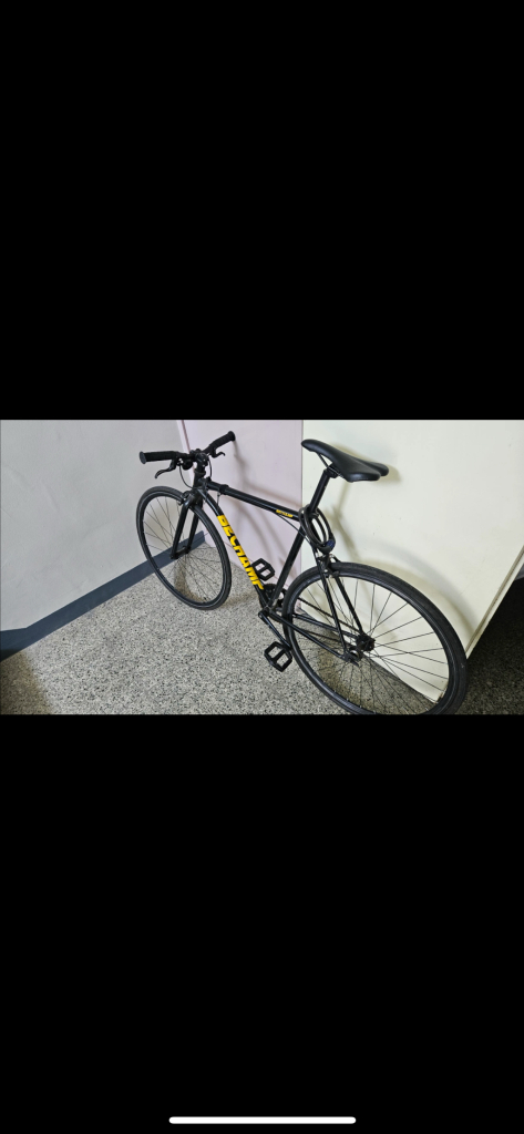 비챔프 픽시 자전거 판매/대차 이미지