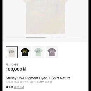 스투시 DNA 피그먼트 티셔츠
