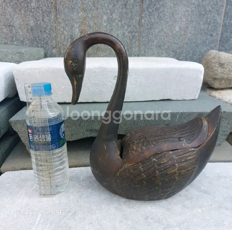 대형 동 오리--0