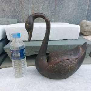 대형 동 오리